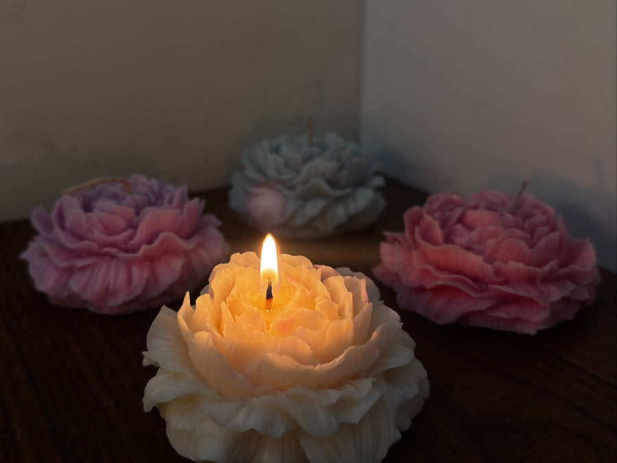 Floral Glow Collection