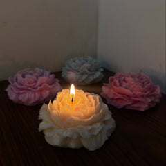 𝐏𝐞𝐨𝐧𝐲 𝐂𝐚𝐧𝐝𝐥𝐞