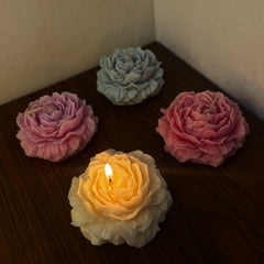 𝐏𝐞𝐨𝐧𝐲 𝐂𝐚𝐧𝐝𝐥𝐞