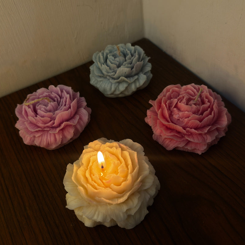 𝐏𝐞𝐨𝐧𝐲 𝐂𝐚𝐧𝐝𝐥𝐞