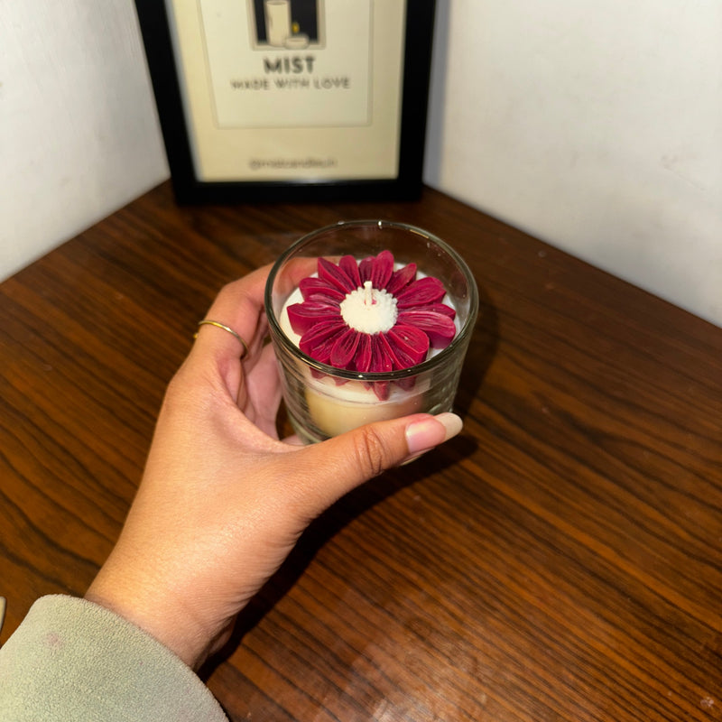 𝐃𝐚𝐢𝐬𝐲 𝐉𝐚𝐫